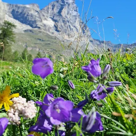 Daire Casa Preziosa Cielo Alto Breuil-Cervinia
